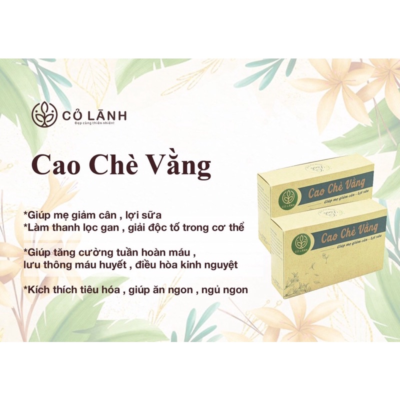 Cao chè vàng Cỏ Lành 500G - Lợi sữa, thanh nhiệt ,giải độc ngăn mụn nhọt