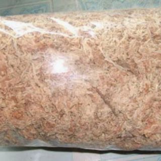 Chất trồng cây bắt mồi(dớn)