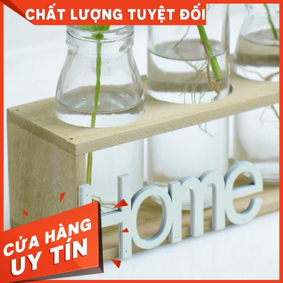 SÉT 5 BÌNH CẮM HOA THỦY TINH