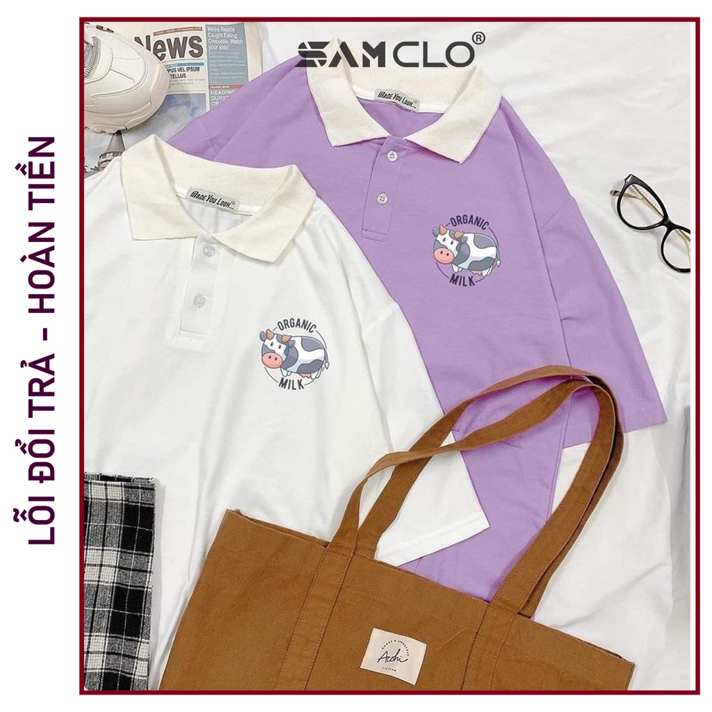 Áo thun Polo tay lỡ form rộng nữ SAM CLO phông freesize unisex mặc đi học, nhóm, lớp in hình BÒ SỮA