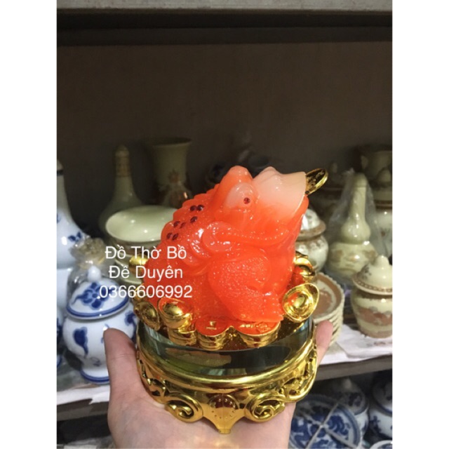 Ông cóc phong thủy cam đỏ