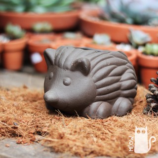 Chậu đất nung Nhím đen | Chậu trồng cây, sen đá, xương rồng