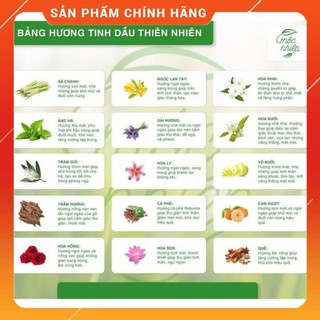 Giá Xưởng Đèn Xông tinh dầu size trung TẶNG Tinh dầu 3 tháng + 2 bóng đèn thay - chính hãng Bát Tràng