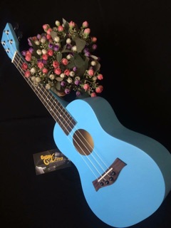 Đàn ukulele concert