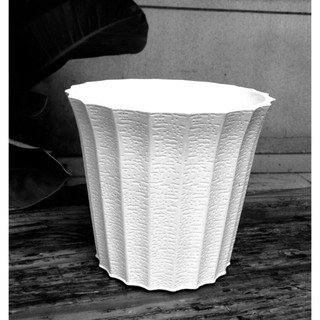 Chậu sọc, chậu khía để bàn - chậu trồng hoa kiểng