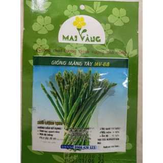(GÍA SỈ) [Gói 0.5g] Hạt giống Măng Tây xanh