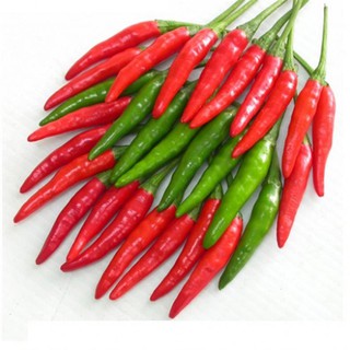 Hạt giống ớt hiểm lai 30 hạt