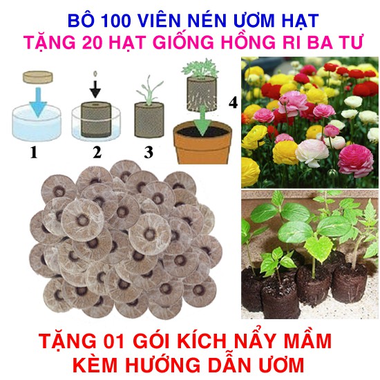 100 viên nén ươm hạt (tặng 20 Hạt giống Hoa hồng Ri ba tư + Kích thích nẩy mầm, Hướng dẫn)