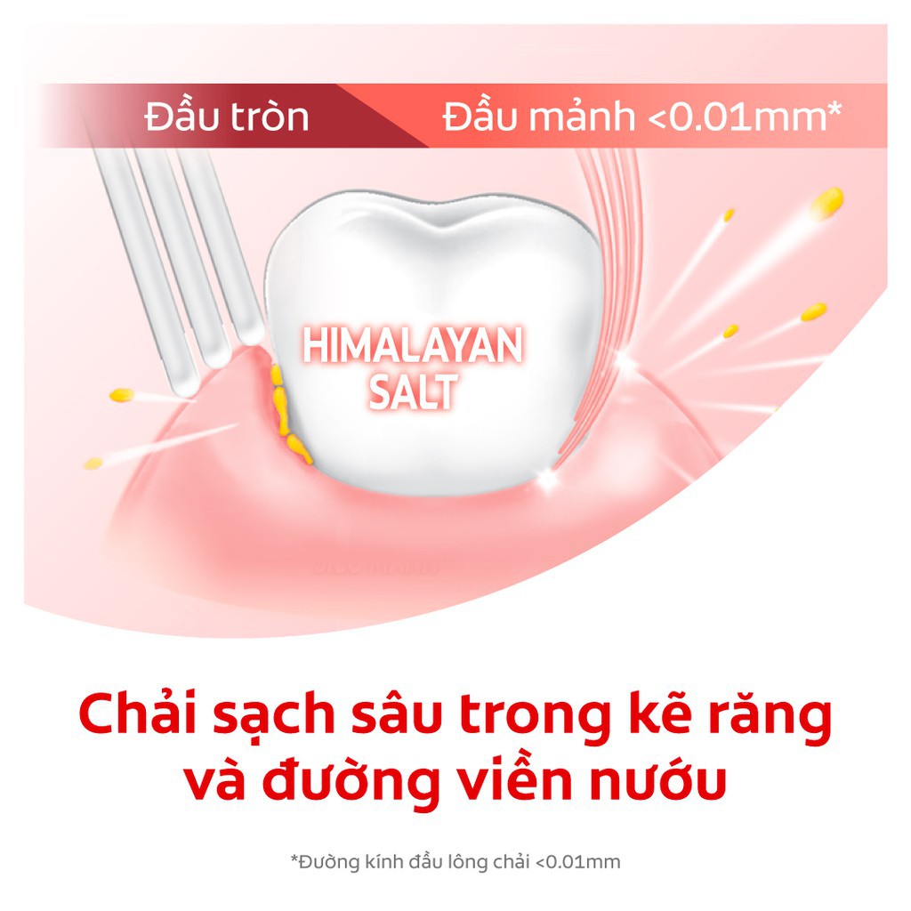 Bộ chăm sóc răng miệng Colgate: 2 Kem đánh răng 180g &amp; 2 Bàn chải từ muối hồng Himalaya