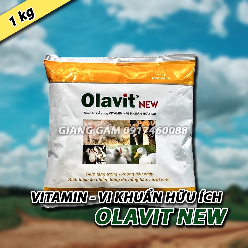 MEN TIÊU HÓA TĂNG TRỌNG, PHÒNG TIÊU CHẢY - OLAVIT NEW - 1KG