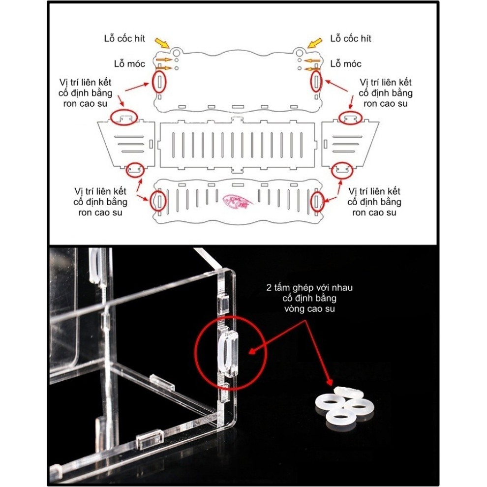 Box Trồng Cây Acrylic | Box Lắp Ghép Đa Năng