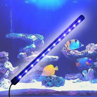 Đèn led chìm nước hồ cá