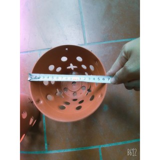 chậu nhựa treo trồng lan