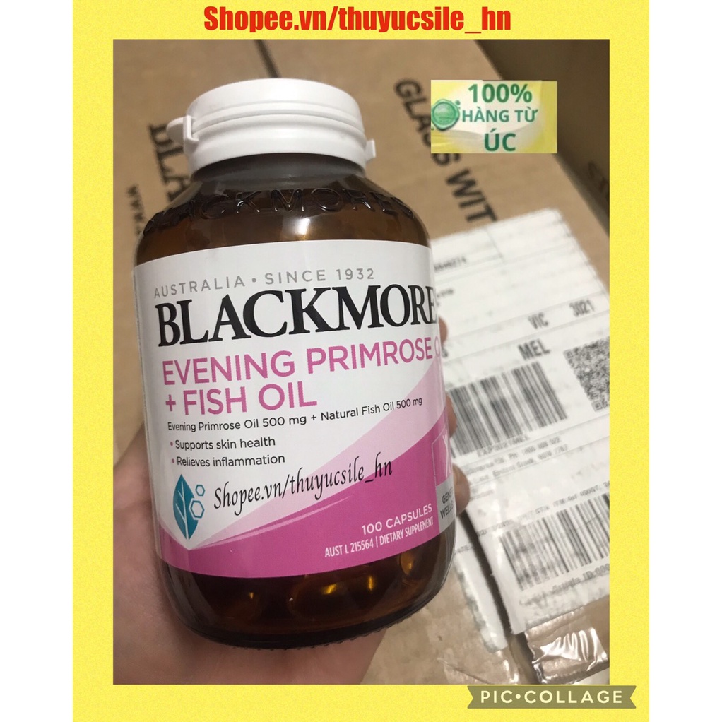 Viên uống tinh dầu hoa anh thảo Blackmores+fish oil mẫu mới lọ thủy tinh 100 viên