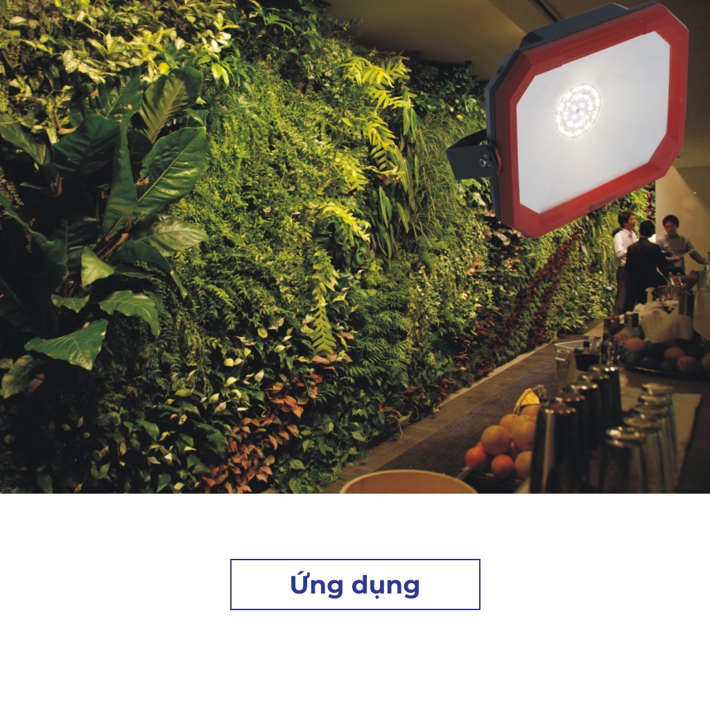 Đèn LED Trồng Cây và Quang Hợp Cho Cây Trong Nhà, Đủ Phổ Như Ánh Sáng Tự Nhiên, Chính Hãng Rạng Đông, Bảo Hành 2 Năm.