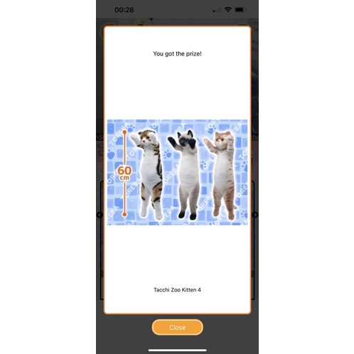 Gấu bông quà tặng Mèo giống thật Tacchi Zoo Kitten Toreba Nhật Bản