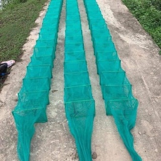 Lồng bát quái