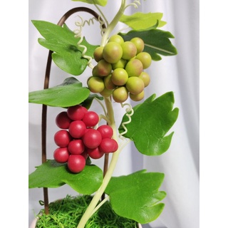 Chậu nho đất sét