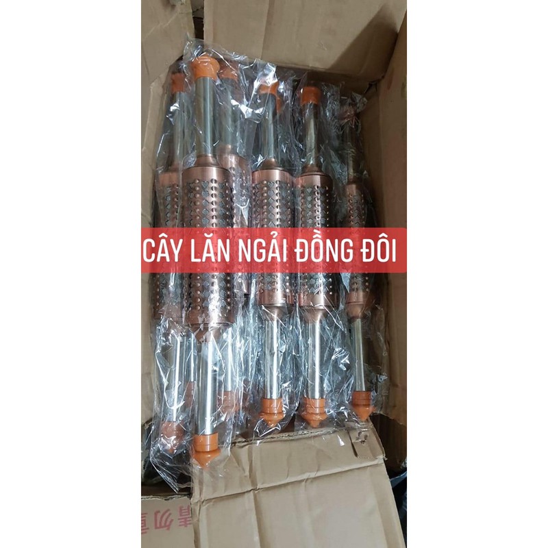 Cây lăn ngải cứu nóng