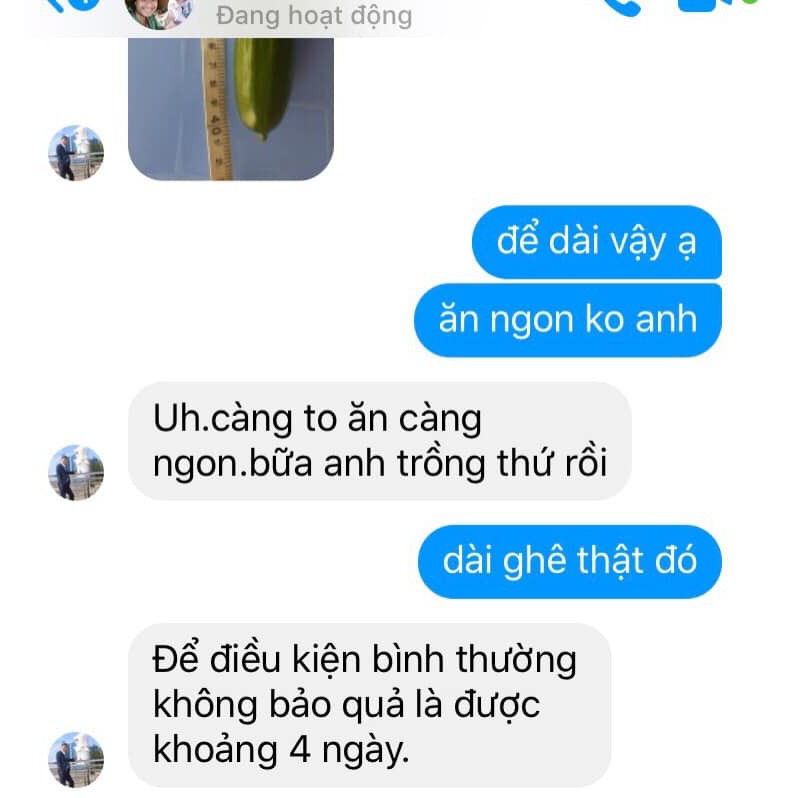 [Hạt giống Mỹ]Hạt giống dưa leo Mỹ tự thụ phấn quả dài siêu giòn ngọt Gói 10 hạt