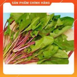 HẠT GIỐNG RAU CẢI BÓ XÔI ĐỎ GÓI 50 HẠT