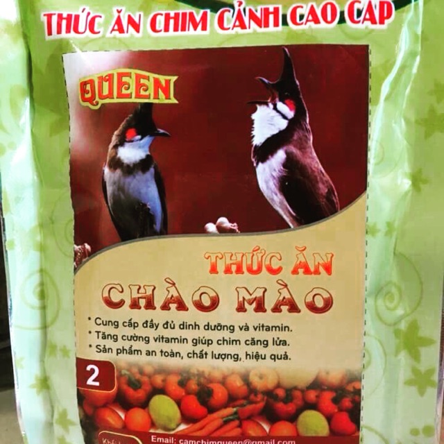 Cám chim chào mào