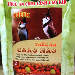 Cám chim chào mào