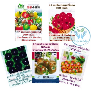 Cà chua cherry cà chua nhỏ 20hạt / 30 hạt CherryTomato / Pearl Tomato
