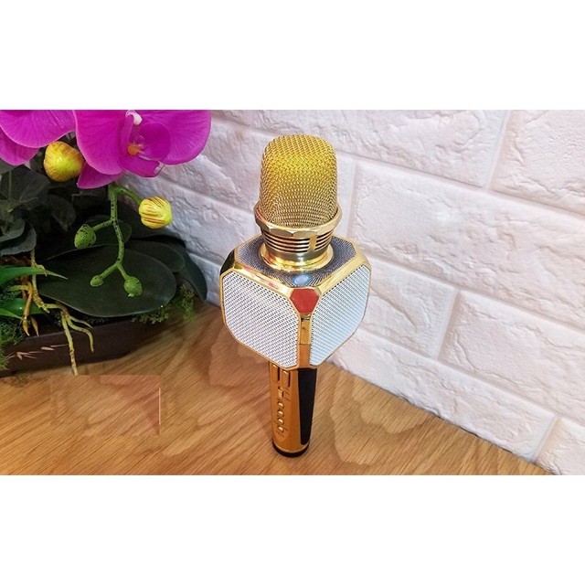 ⚡Xả Kho⚡ MICRO KARAOKE BLUETOOTH SD10 - GIÁ TÔT NHẤT