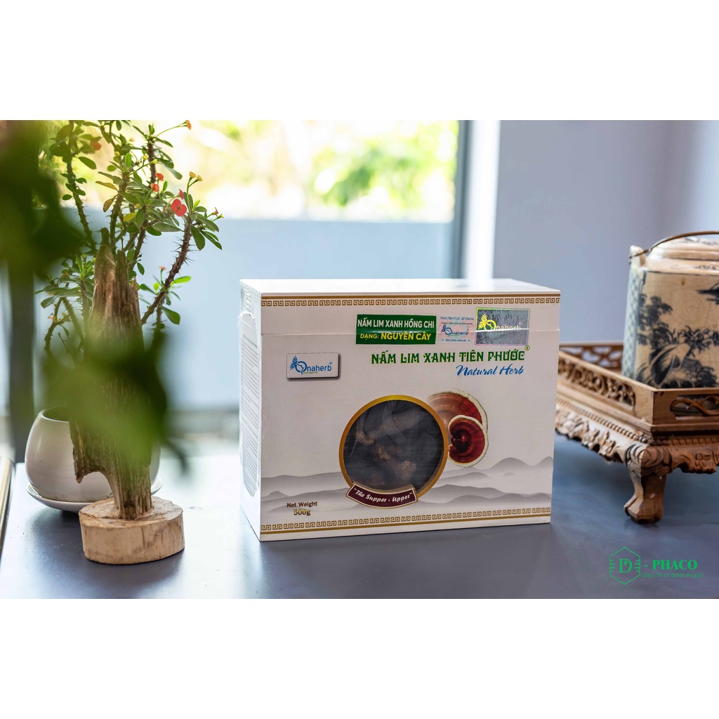 Nấm Lim Xanh Tiên Phước - Nguyên cây 500GR