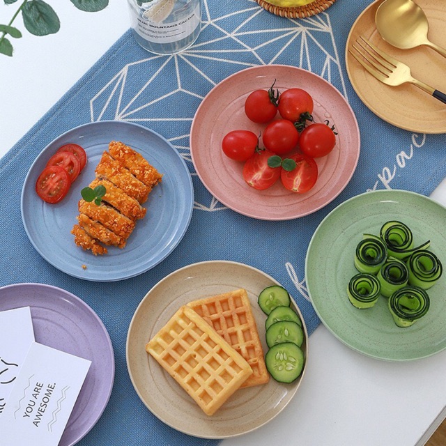 Set đĩa lúa mạch (Mix 6 màu)