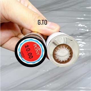 Lens Không Độ - Choco