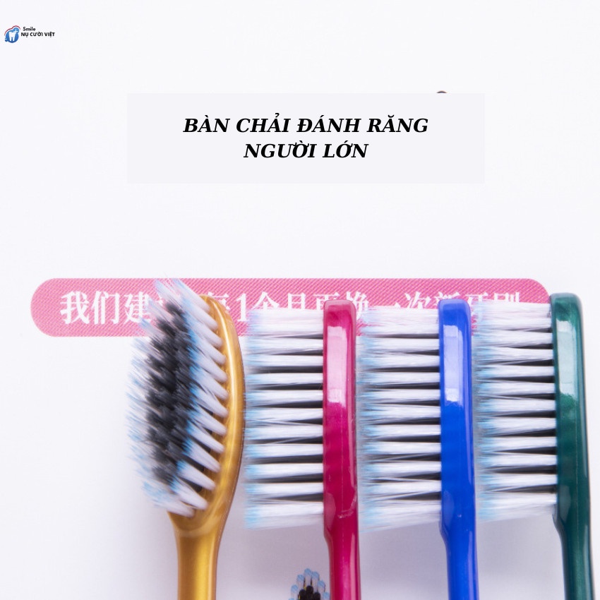 Bàn Chải Đánh Răng Dành Cho Người Lớn Đầu Bàn Chải Lông Mịn