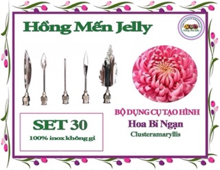 Bộ Kim Làm Thạch 3D Các Hoa Tự chọn