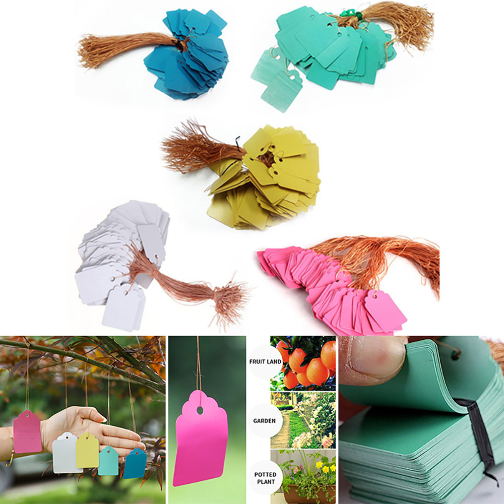 Bộ 100 Thẻ Phân Loại Cây Trồng Nhiều Màu Sắc Tiện Dụng