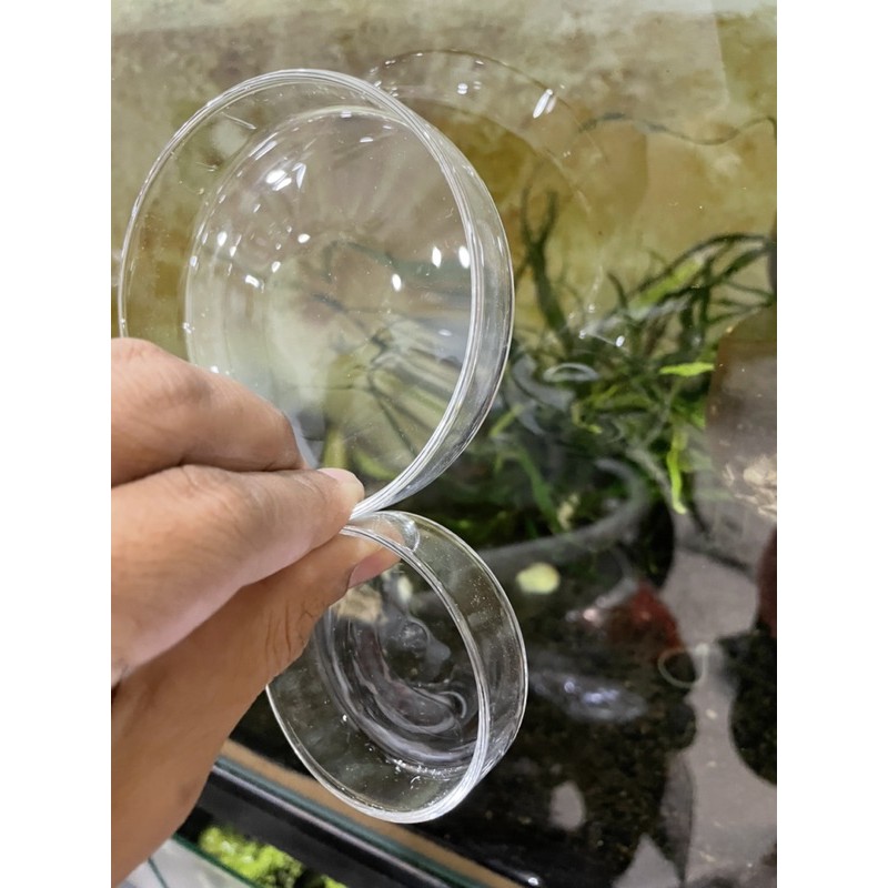 CHÉN THUỶ TINH NUÔI TÉP