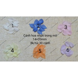 Cánh hoa nhọn nhựa trong mờ - nguyên liệu handmade