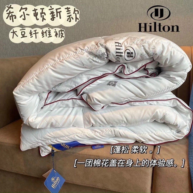 Ruột Chăn Hilton Lông Vũ [ Freeship ] Siêu Nhẹ Hàng Chính Hãng Kích Thước 2m x 2m3