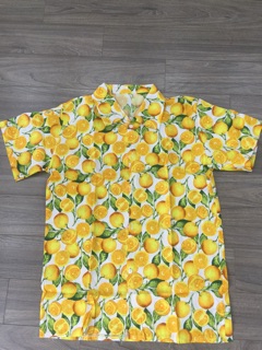 Áo sơ mi hoa quả - 124 STORE