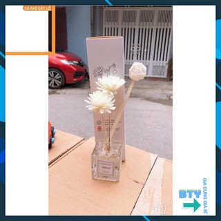 TINH DẦU thơm phòng cắm que hoa gỗ