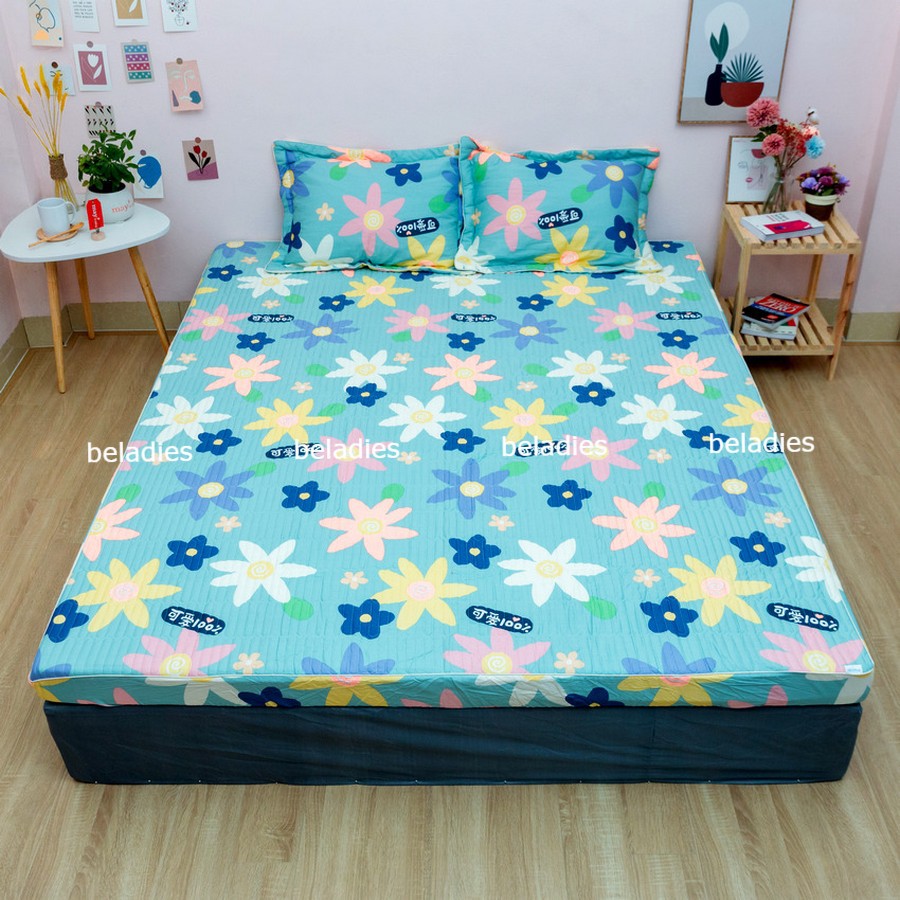 Bộ ga giường cotton Hàn Quốc trần bông kèm đôi vỏ gối m6 m8 2m2 m2 May bedding