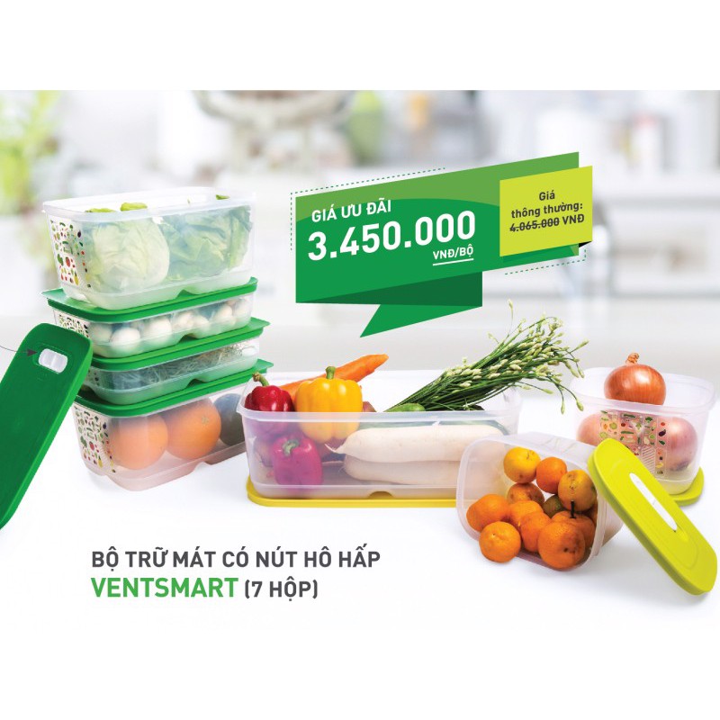 Bộ hộp trữ mát Vensmart 7 hộp