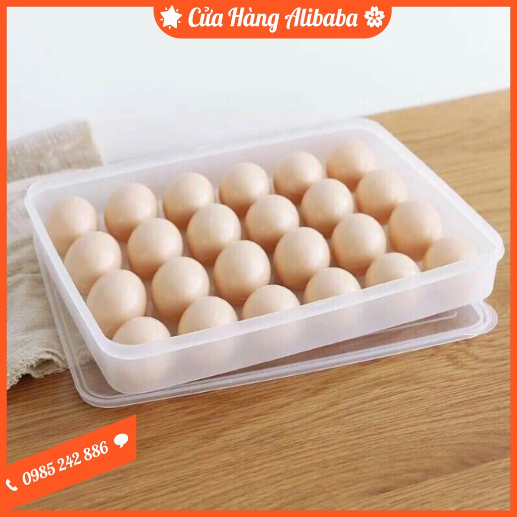 Hộp Đựng Trứng 24 Quả Nhựa Song Long Có Nắp