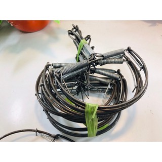 COMBO 20 BẪY CHUỘT BÁN NGUYỆT loại  to( tặng 1 chiếc)