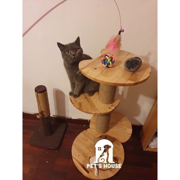 Trụ cào móng cho mèo