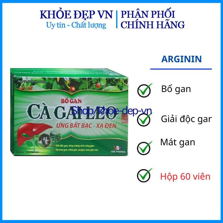 Bổ gan Cà Gai Leo hỗ trợ giải độc gan,làm mát gan, hạ men gan, tăng cường chức năng gan - HỘP 60 viên