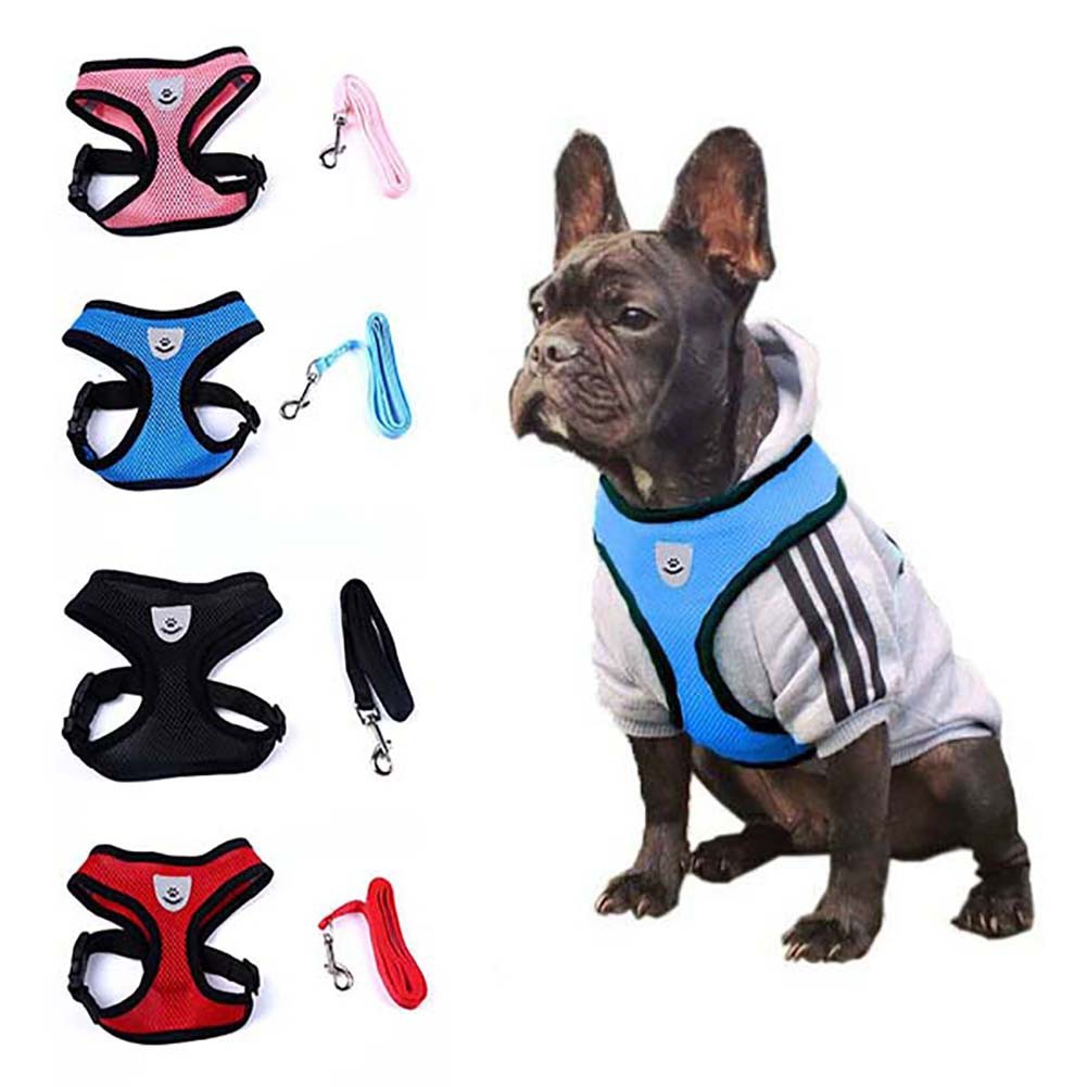 Bộ áo và dây xích dắt thú cưng đi dạo kiểu dáng đáng yêu