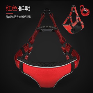 Dây xích và yếm ngực dắt chó