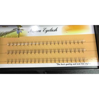 Mi Chùm Nesura 5D Nối Tạo Fan Sẵn Volumn Cực Đẹp Cực Nhẹ Mắt- Độ cong CC(8-13mm)