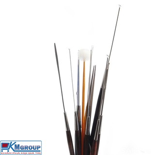 Bộ lấy ráy tai cao cấp 10 món-14477